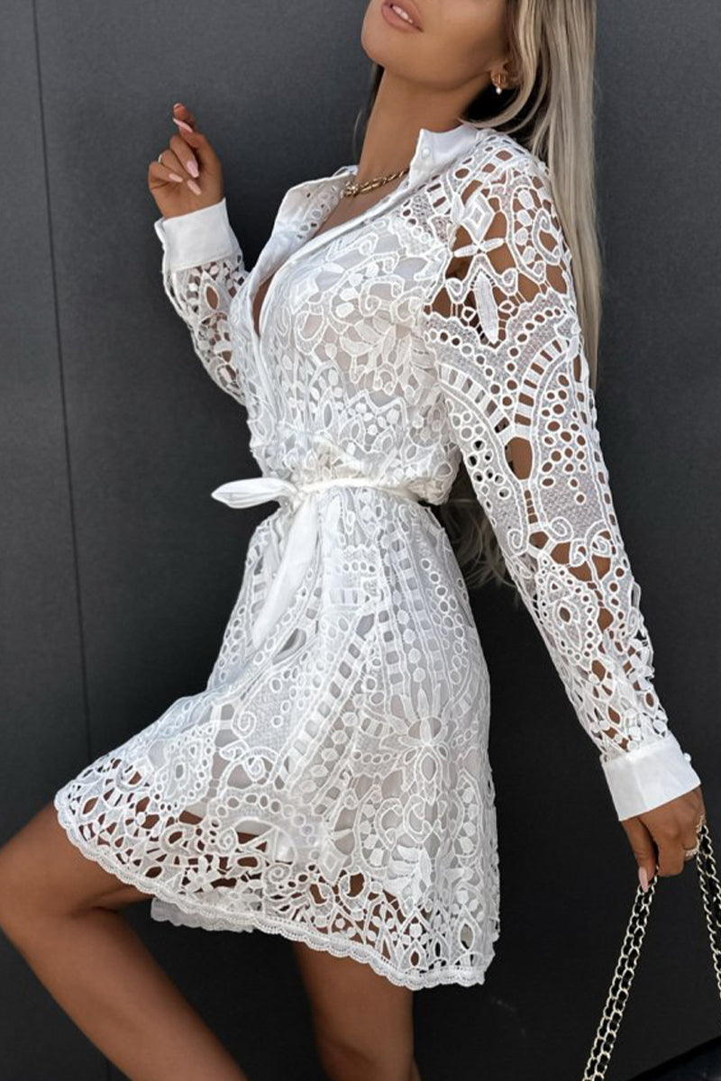 Sexy Elegant Solid Hollowed Out Turndown Collar A Line Dresses